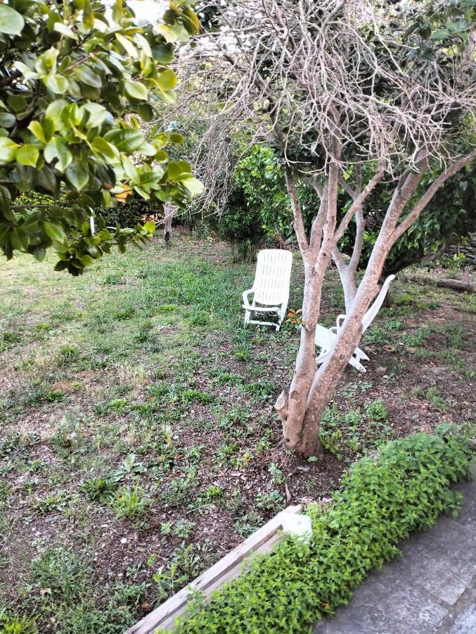 Maison Individuelle Padulella Sisco المظهر الخارجي الصورة